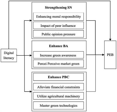 The impact of digital literacy on farmers' pro-environmental behavior: an analysis with the Theory of Planned Behavior